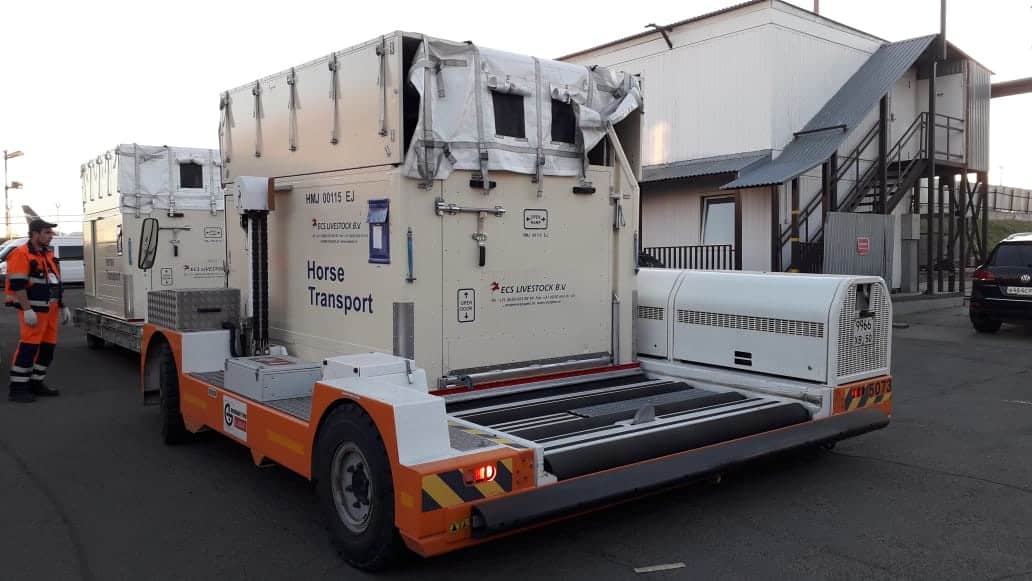 FAK-horse-transport-AirBridgeCargo